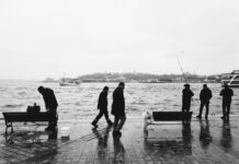 The Fish of the Lake